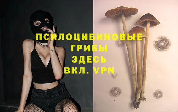 ПСИЛОЦИБИНОВЫЕ ГРИБЫ Алексеевка