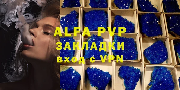 винт Алексин