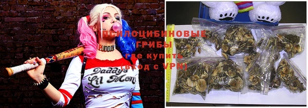 ПСИЛОЦИБИНОВЫЕ ГРИБЫ Алексеевка