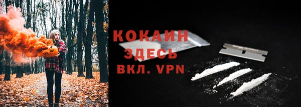 ПСИЛОЦИБИНОВЫЕ ГРИБЫ Алексеевка